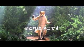 映画『ジャッジ!』TVCM15秒きつね篇