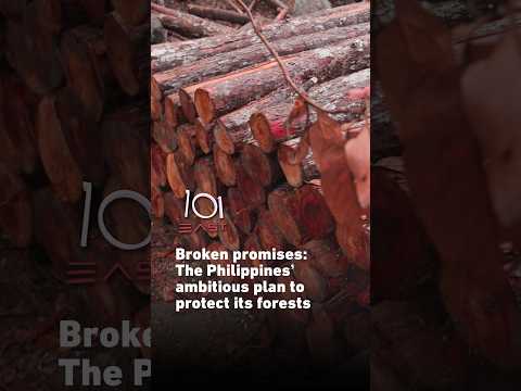 Broken promises: The Philippines’ ambitious plan to protect its forests | 101 East #shorts