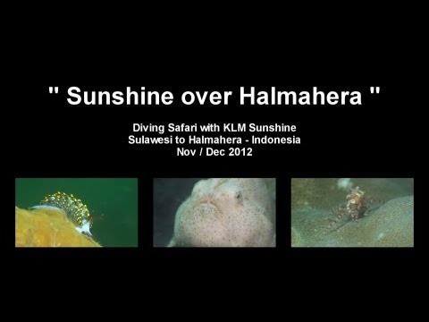 Sunshine over Halmahera, Halmahera,Indonesien