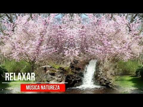 Bem Estar e Paz Interior. Música Relaxante e Sons da Natureza.