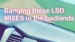 LSD - Heaven Can Wait (Snippet)