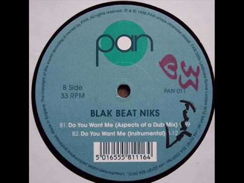 Blak Beat Niks - Do You Want Me (Instrumental)