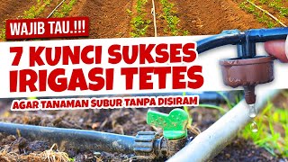 Download lagu MAU BIKIN IRIGASI TETES.??? WAJIB TAU 7 HAL PENTING INI - Tanaman Subur Saat Kemarau Tanpa Disiram mp3