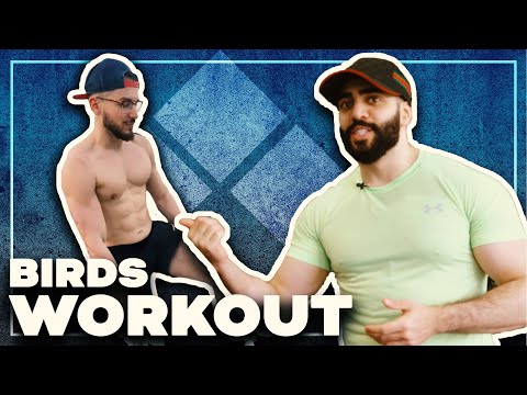 Pumping Iron with AngryBird and Big Bird