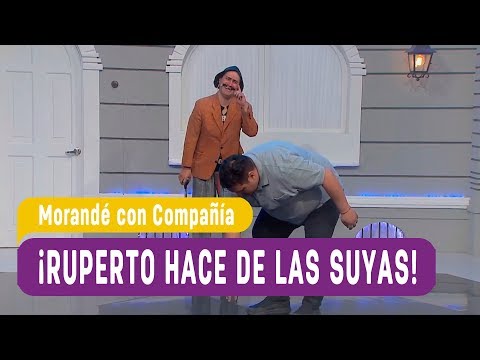 ¡Ruperto hace de las suyas! - Morandé con Compañía 2019