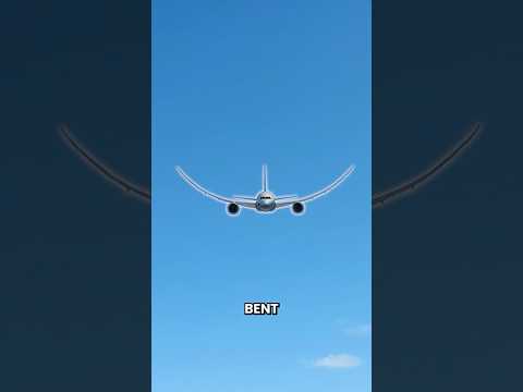 How Strong are Plane Wings?