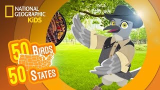 Texas - Feat. Rapper MC Tex the Mockingbird | 50 BIRDS, 50 STATES