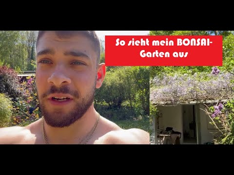 Die schönste Zeit des Jahres: Gartentour und Bonsai-Updates im Mai