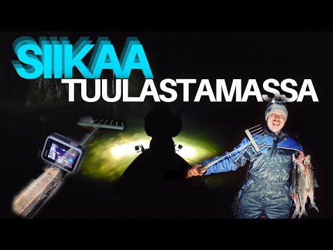 Siian Tuulastus  | Lyhyt oppimäärä | 2022