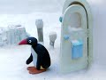 Pingu S03e14 Pingu Takes Revenge Dvdrip Xvid