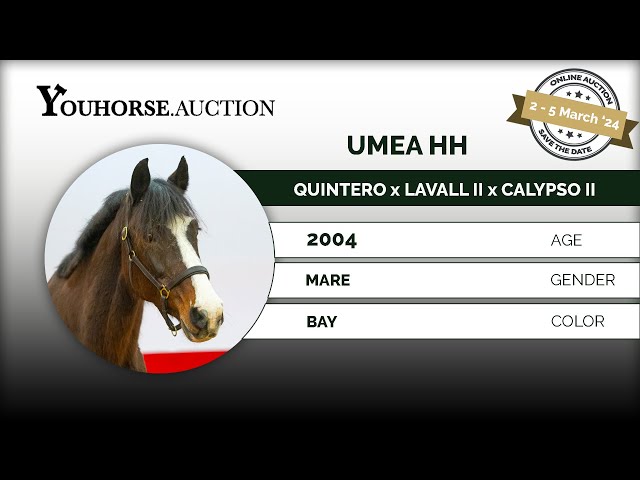 Umea HH