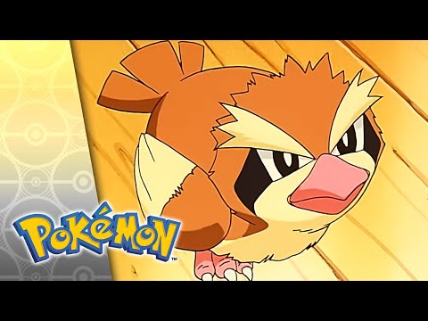 Fly Me to the Moon | POKÉMON FULL EPISODE 2 | Season 5
