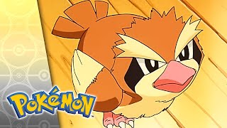 Thumbnail del capítulo