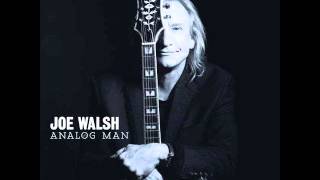 Joe Walsh- Analog Man