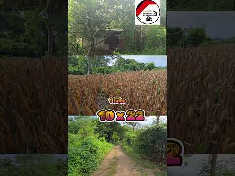 GRAN OFERTA😎 $10,000 neg. 1 LOTE(10X22) UBICADO EN "EL MATAZANO" EL PAISNAL, SAN SALVADOR NORTE.