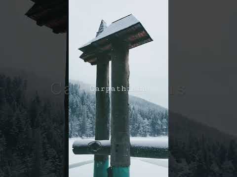 Carpathian Mountains #ukraine #carpathians  #shorts