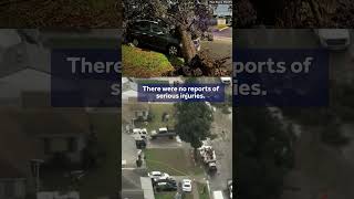 Tornado downs trees in LA County neighborhood