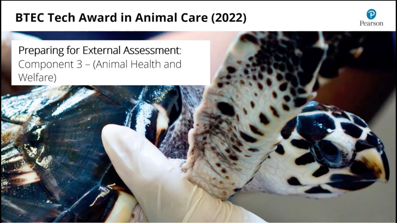 BTEC Tech Award (2022) Animal Care- Preparing for External Assessment