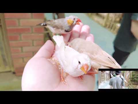 مواهب الحديقة | Garden Talents, where city meets nature ….