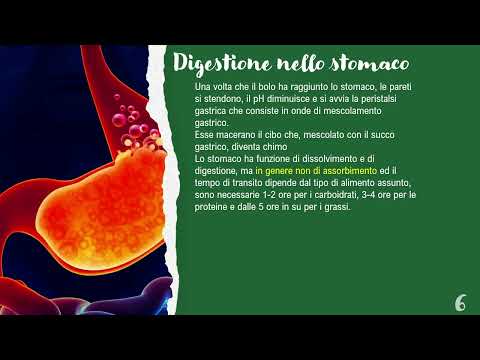 DIGESTIVE SYSTEM PART 2