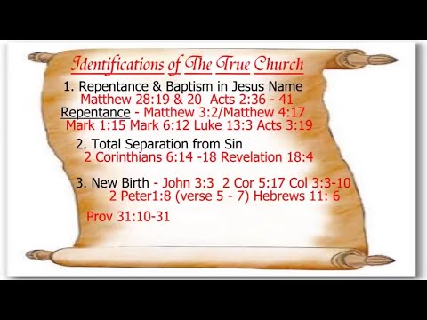 The Bride's Biometrics - Pastor Stoffels (Audio Archives)