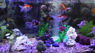 20131025_201324.mp4