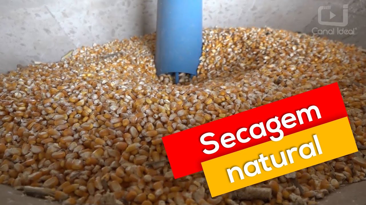 Agricultor de Passos Maia investe em silo que utiliza ar natural para secagem de grãos