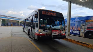 Ride On CTA 2022 Nova Bus LFS 8361 On Rt 81W to Jefferson Park Blue Line Station via Cumberland