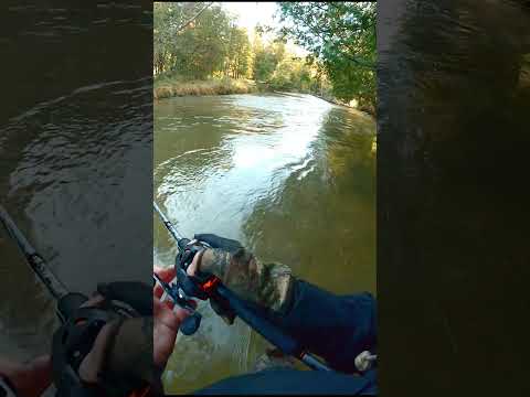 #salmon #salmonrun #river #riverfishing #salmonfishing #savage #glider #fishing #fyp