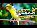 SUARA BURUNG 418 Kenari GACOR PANJANG INI Cocok Untuk Masteran KENARI PAUD Dan Kenari Macet BUNYI
