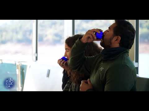 Elaboración de aceite - Picualia First Day of Harvest Limited Edition Arbequina 500 ml