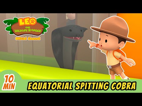 Witness21 Editor  2022 04 01