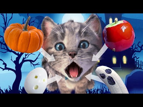 LITTLE KITTEN HALLOWEEN GAME - HAPPY KITTEN ON AN ADVENTUROUS JOURNEY - KITTEN REACTIONS