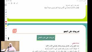 صورة دورة في علم النحو للناشئة: سيبويه الصغير | لفضيلة الشيخ/ خالد اسماعيل