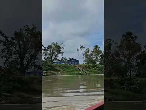 Rio Murú, na cidade de Tarauacá-Acre. #rio #viagem #saude