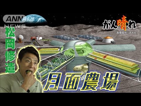 研究者たちは人間の糞便から宇宙飛行士用の食料を「栽培」している