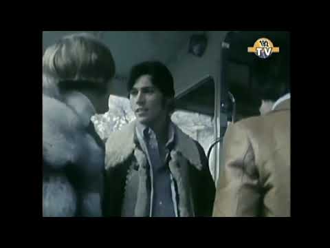 Bee Gees - Holiday   (1967)