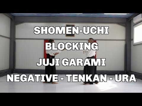 Shomen-Uchi, Blocking, Juji Garami, Negative - Tenkan - Ura / Aikido techniques