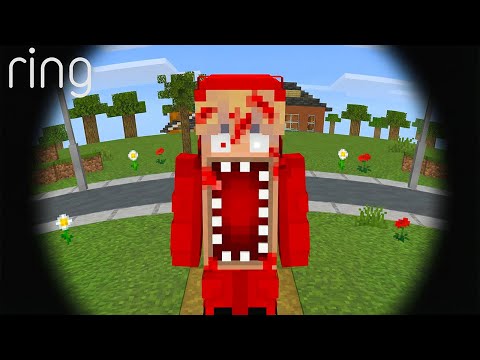 Jag Skaffade en Dörrkamera i Minecraft...