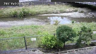 青葉町映像監視局