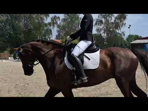 Dressur RL2 08.06.2024 Taufkirchen/Vils