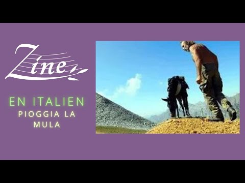 Zine - PIOGGIA LA MULA