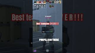 Best teamates  E V E R ! ! ! #csgo #cs2gameplay #counterstrike2 #gaming
