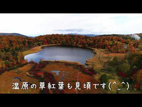 秋田八幡平の秋～紅葉映える大沼自然探勝路～