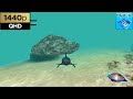 Ecco The Dolphin Defender Of The Future PS2 Gameplay HD 2000 Pcsx2 Setup Latest 2023