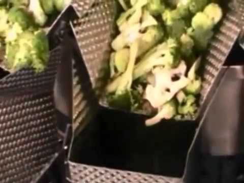 Vegetable weighing & Packaging machine