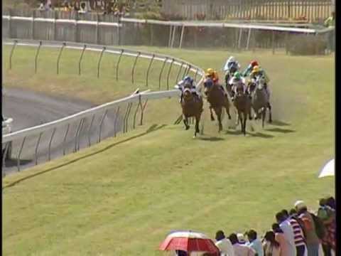 32nd Meeting (30 Oct 2011) - Race 5 Winner: ALWAYS A PLEASURE (iDates.mu)