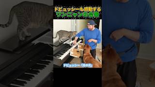 Download lagu 3人で奏でるドビュッシーの月の光 mp3 Download lagu 3人で奏でるドビュッシーの月の光 mp3