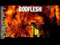 Godflesh | Best Of