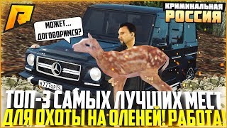 Ссылка